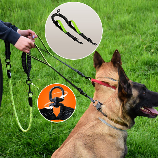 Double laisse pour chien vert clair détails