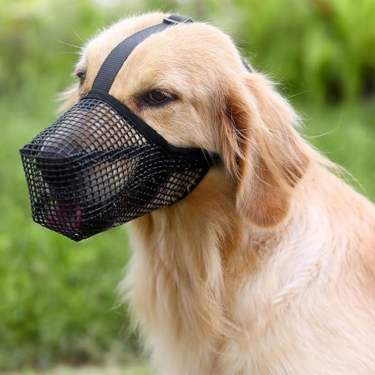 Muselière pour chien maille noir Golden