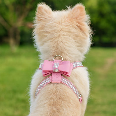 Poméranien harnais chiot boucle rose