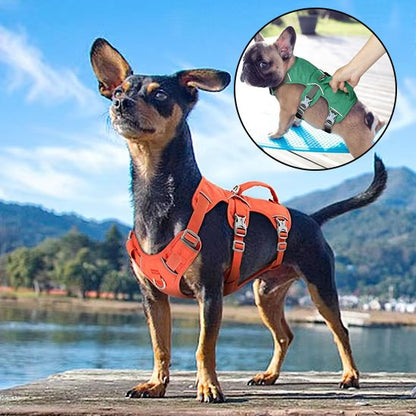 Harnais pour chien orange et vert