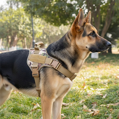 Harnais chien | Tactik dog