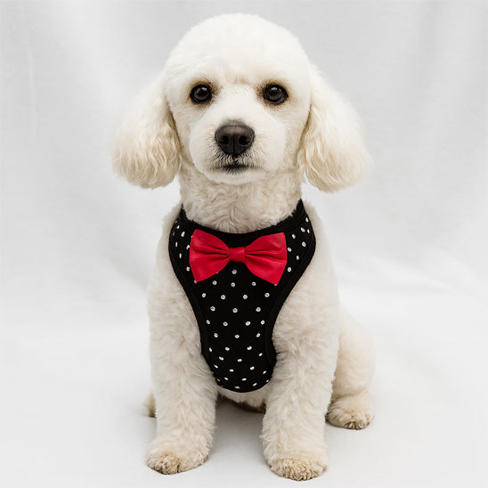 Harnais petit chien | Confort élégant