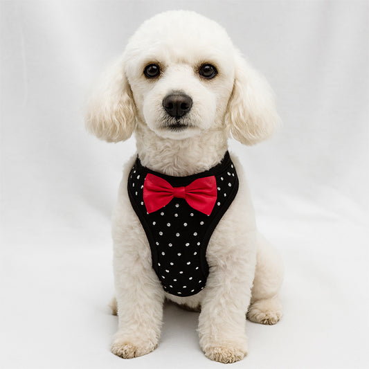Harnais petit chien | Confort élégant