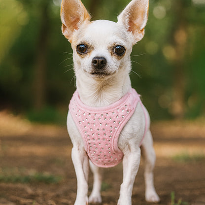 Harnais petit chien | Confort élégant