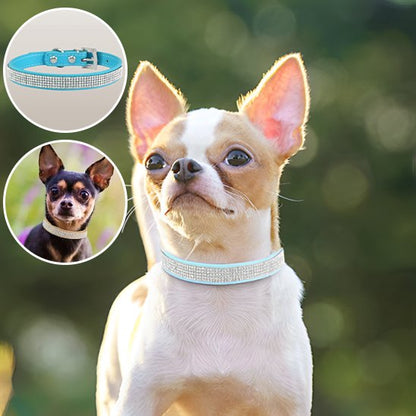 Collier chien bleu pâle brillant