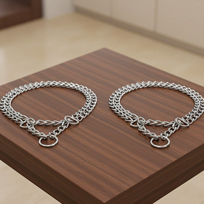 Collier chien chaine