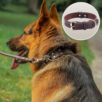 Collier chien | Cuir Résistant