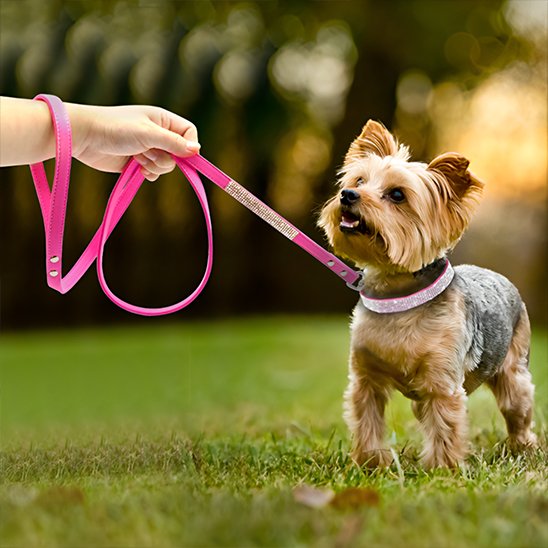 Collier chien rose foncé brillant Yorkshire
