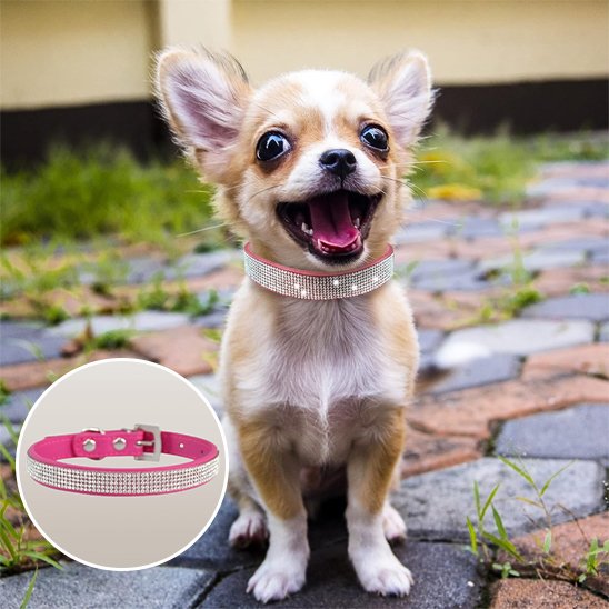 Collier chien rose foncé détails