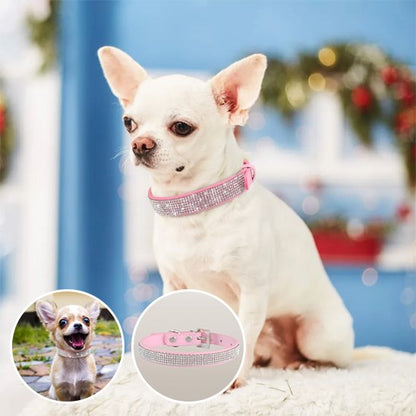 Collier chien rose pâle brillant détails