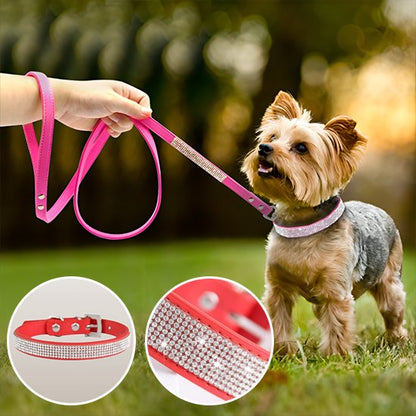 Collier chien rouge brillant détails