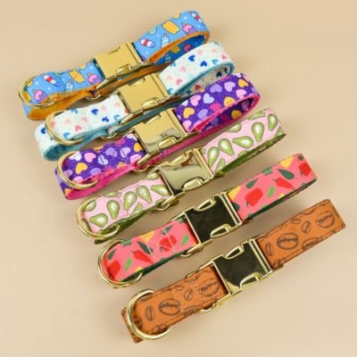 collier-chiot-multicolore