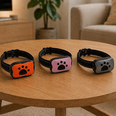 Collier de dressage chien 3 couleurs