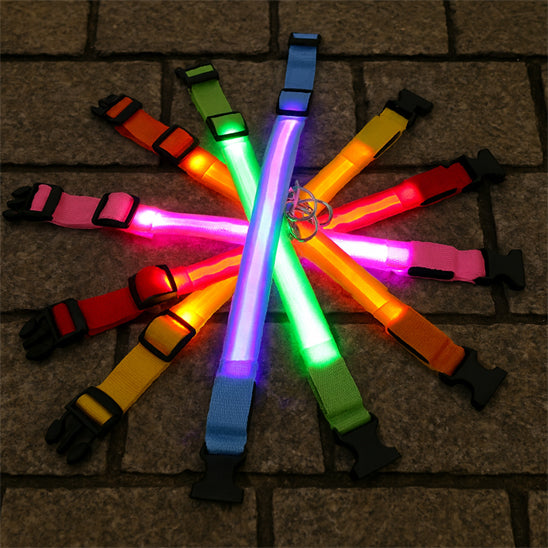 Collier lumineux pour chien multicolore 2