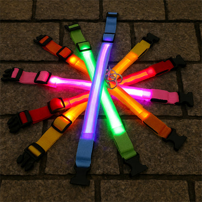 Collier lumineux pour chien multicolore 2