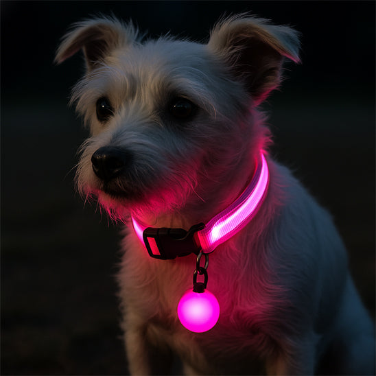 Collier lumineux pour chien rose 1