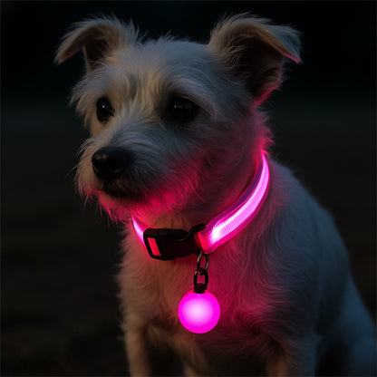 Collier lumineux pour chien rose 1