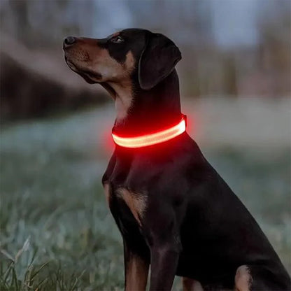 Collier lumineux pour chien rouge 1