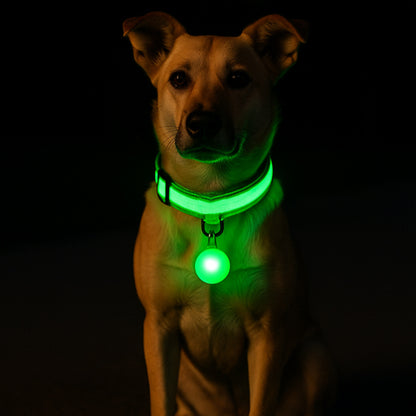 Collier lumineux pour chien vert-1