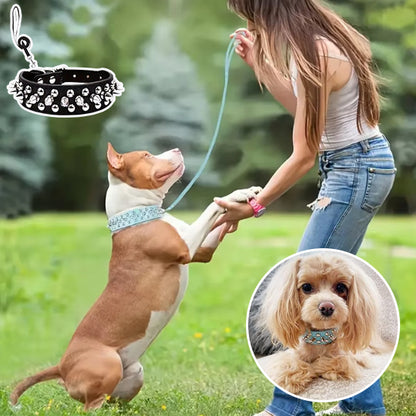 Collier pour chien bleu pâle clouté Caniche