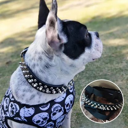 Collier pour chien noir clouté Bouledogue détails