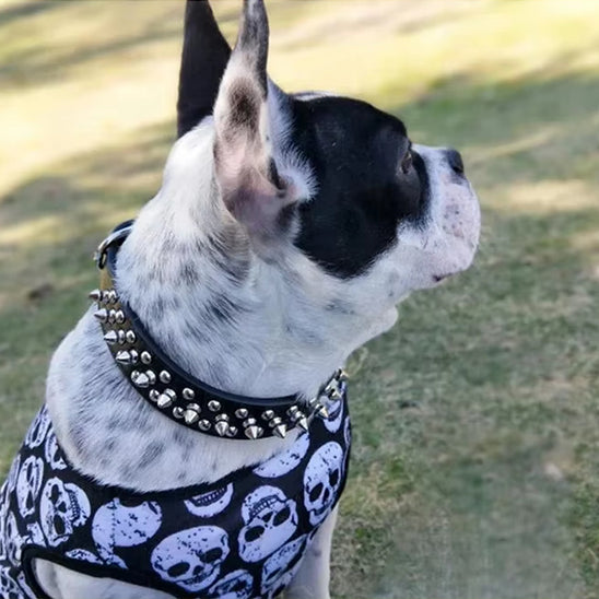 Collier pour chien noir clouté Bouledogue Francais