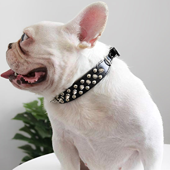Collier pour chien noir clouté Bouledogue