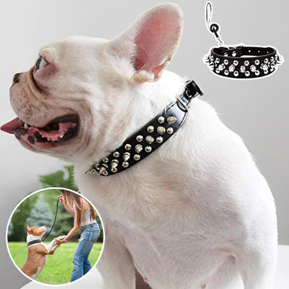 Collier pour chien noir clouté détails