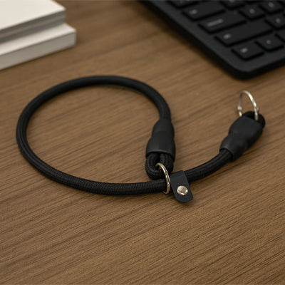 Collier pour chien noir2
