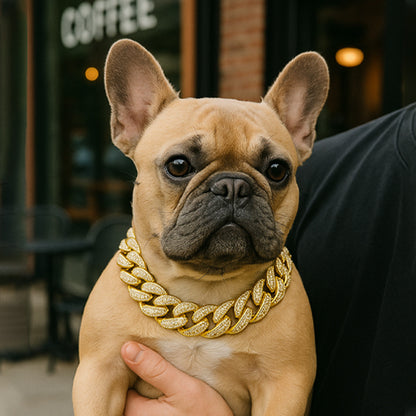Collier pour chien Or Bouledogue