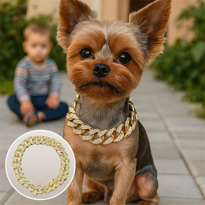Collier pour chien or détails Yorkshire