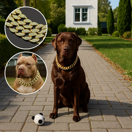Collier pour chien or détails