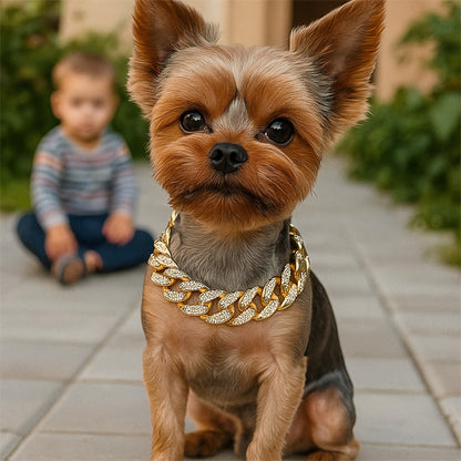 Collier pour chien Or Yorkshire