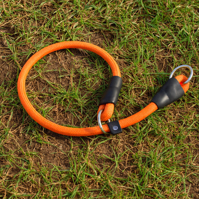 Collier pour chien orange2