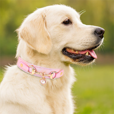 Collier pour chien rose diamant 1