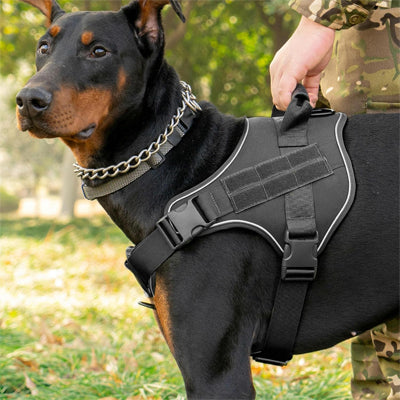 Harnais chien | Tactik dog