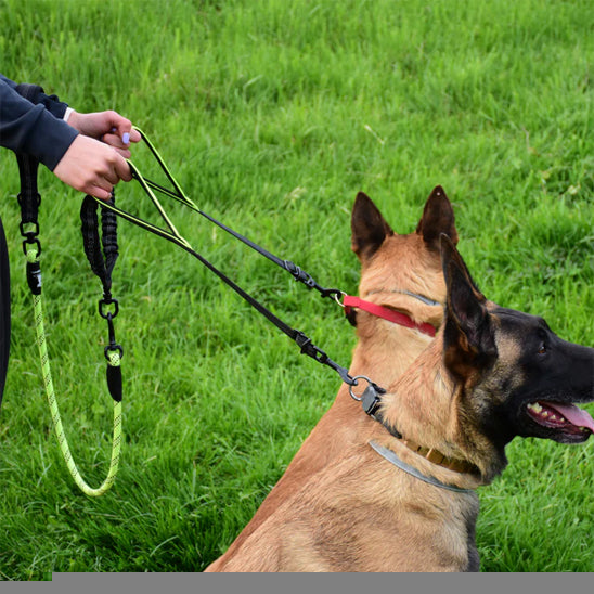 Double laisse pour chien ajustable