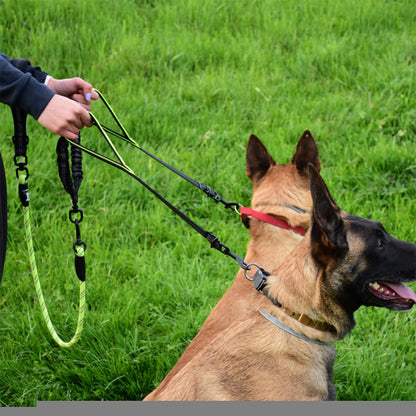 Double laisse pour chien ajustable