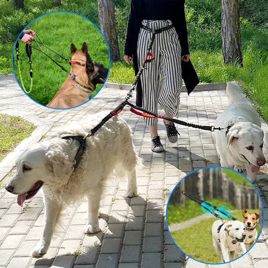 Double laisse pour chien détails