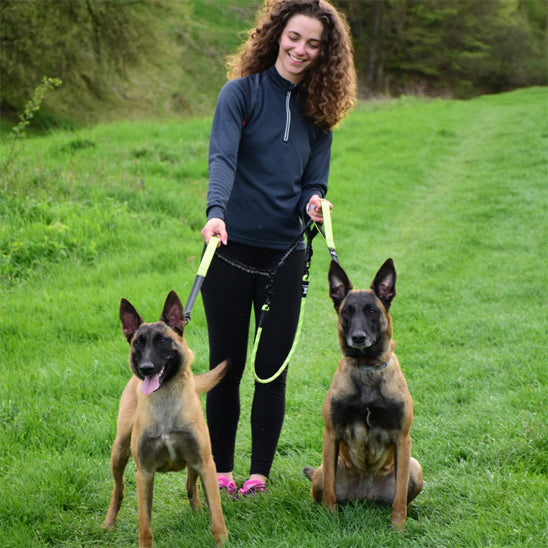 Double laisse pour chien Malinois