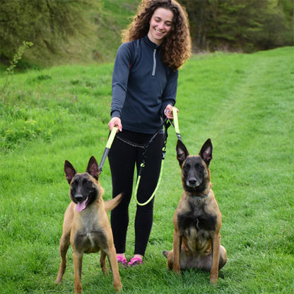 Double laisse pour chien Malinois