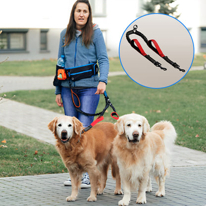 Double laisse pour chien rouge détails