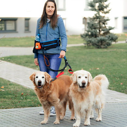 Double laisse pour chien rouge