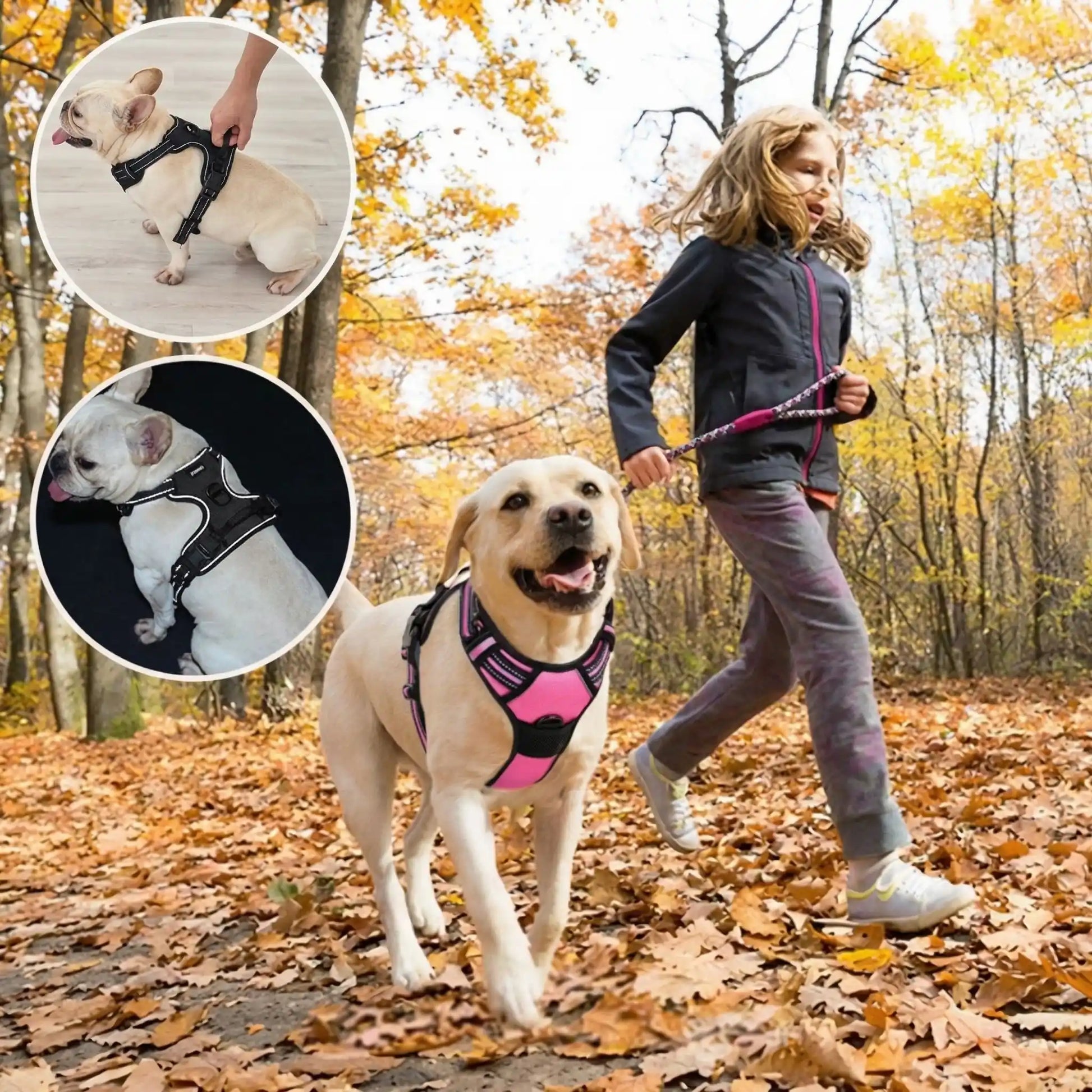 Forêt Labrador harnais pour chien rose et noir