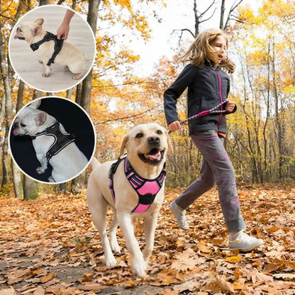 Forêt Labrador harnais pour chien rose et noir