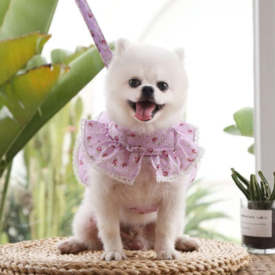 Harnais petit Chien | Confort léger