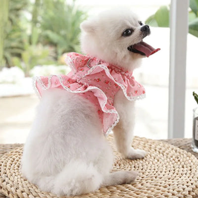 Harnais petit Chien | Confort léger