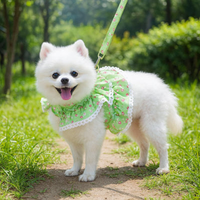 Harnais petit Chien | Confort léger