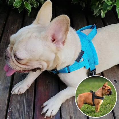 Harnais pour chien bleu et noir