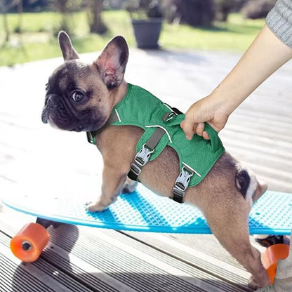 Harnais pour chien bouledogue francais